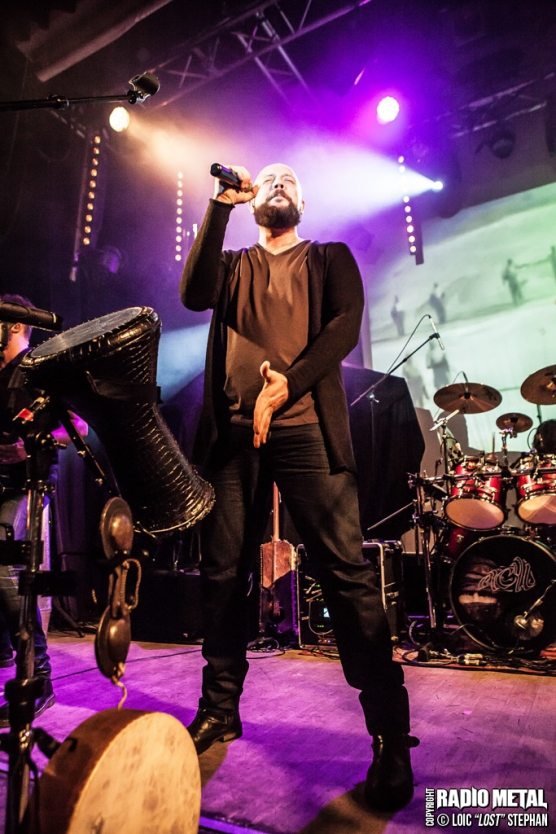 Acyl_2016_11_22_13