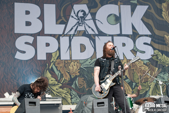 black_spiders_2013_06_21_09_ng